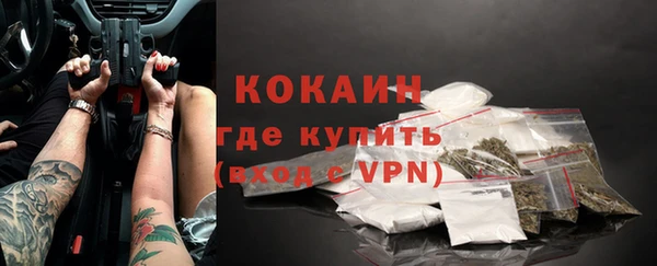 твердый Коряжма