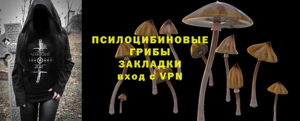 твердый Коряжма