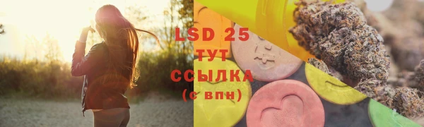 твердый Коряжма
