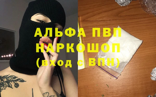 твердый Коряжма