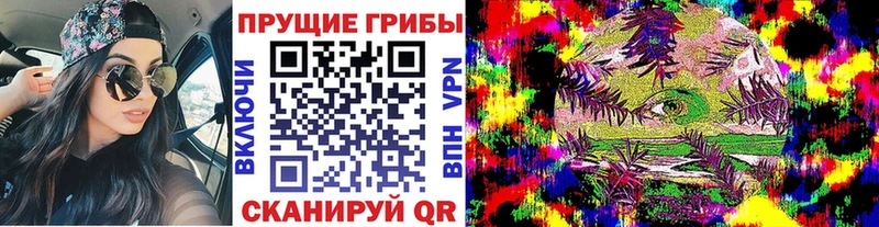Купить  Михайловск  Псилоцибиновые грибы мицелий 